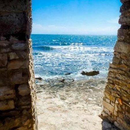 Guest House Torci 18 Novigrad Istria 外观 照片
