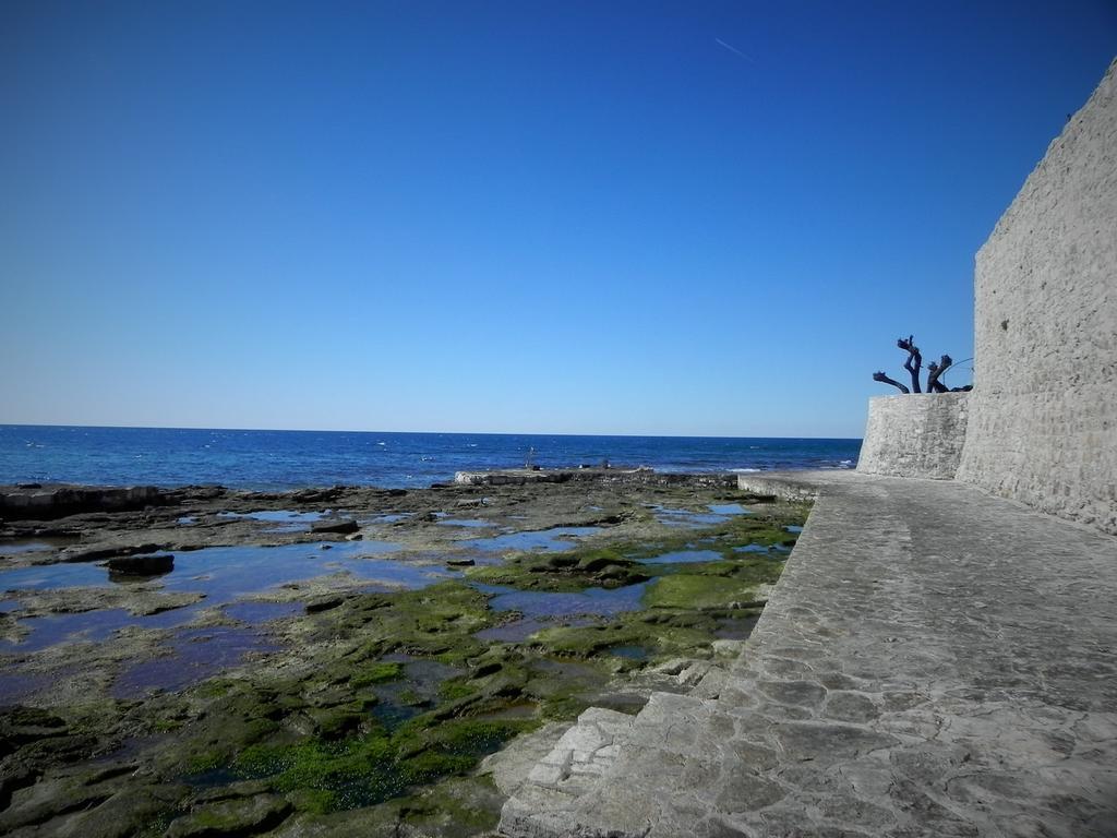 Guest House Torci 18 Novigrad Istria 外观 照片