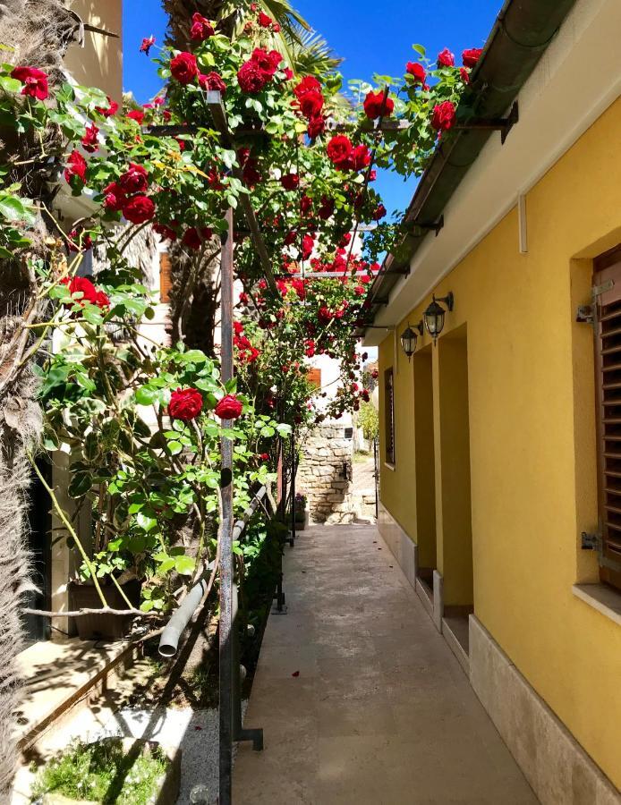 Guest House Torci 18 Novigrad Istria 外观 照片